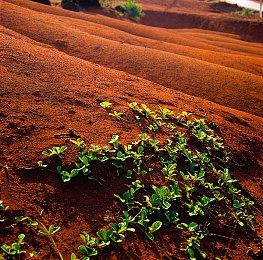 F5联合发布会：《当火车鸣笛三秒》8月5日登陆Steam